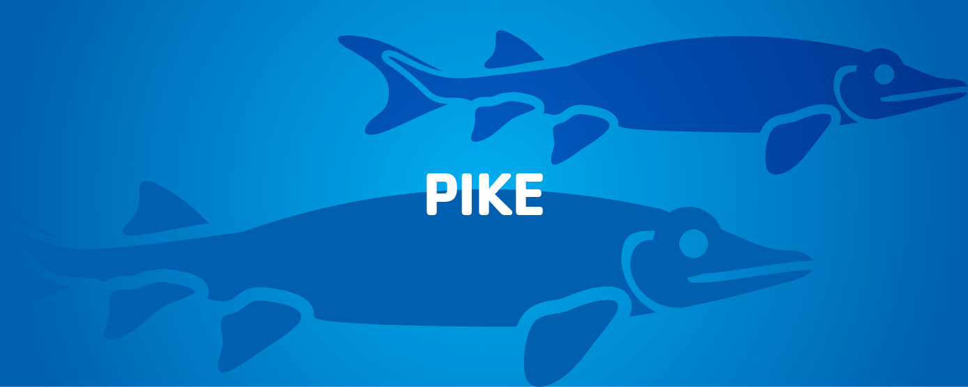 pike swim level